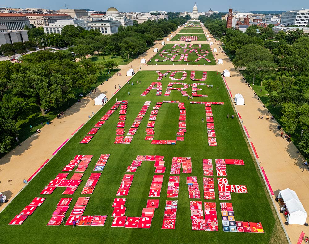 Arial photo of people demonstrating on the national mall in Washington DC