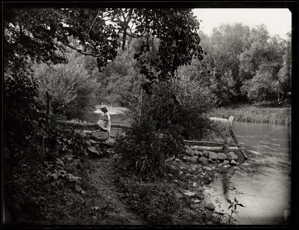 Girl on Fence, Rockland, July 16 1885, No.21