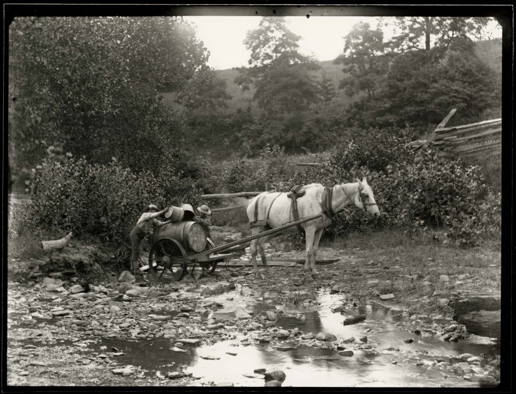 Water Cart No.2, July 27, 1886, No.138