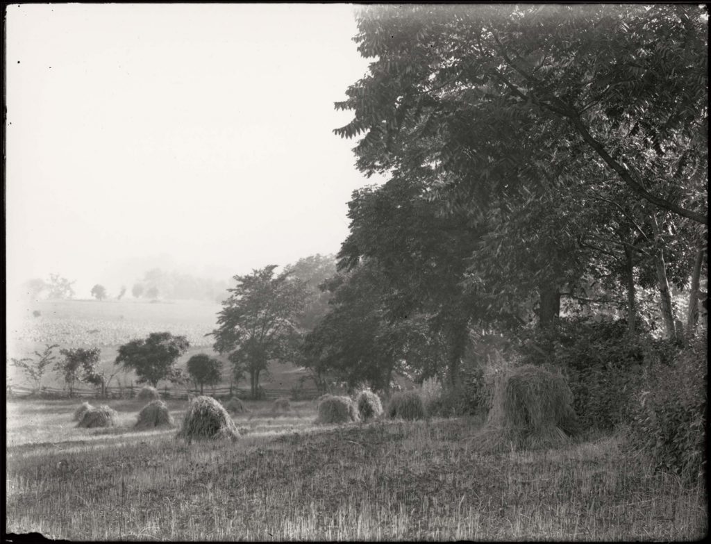 Hay Stacks