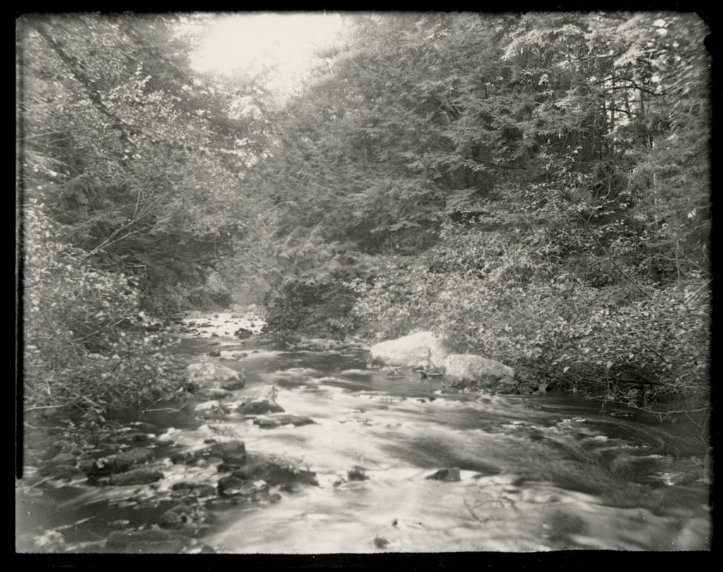 Beaver Creek Pocono Pines N.D.