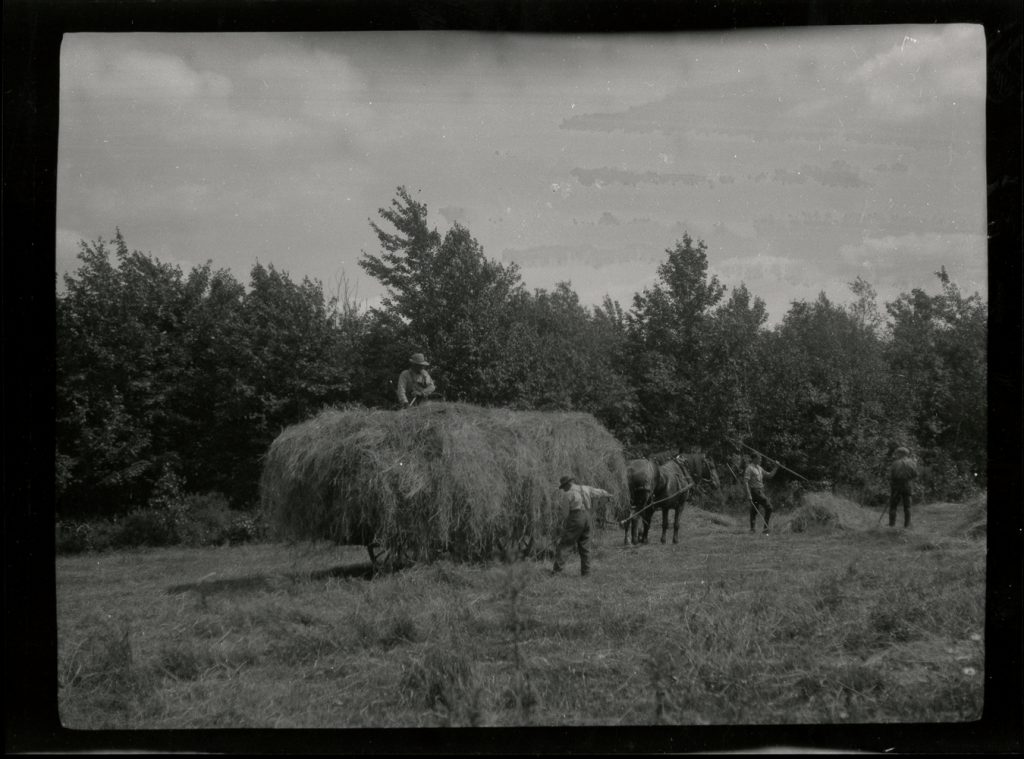 Haymaking: Dick, Bill A. & C.M. series