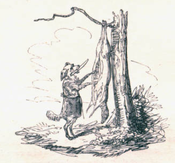 A small dog holds a knife in its mouth and is carving open a strung-up animal on a tree.