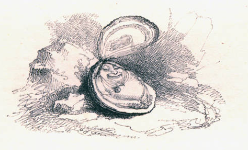 A small figure is nestled inside of an oyster shell