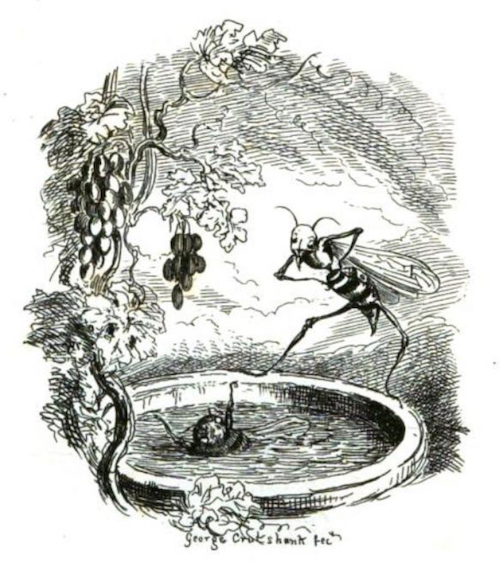 A wasp watches a bee drown