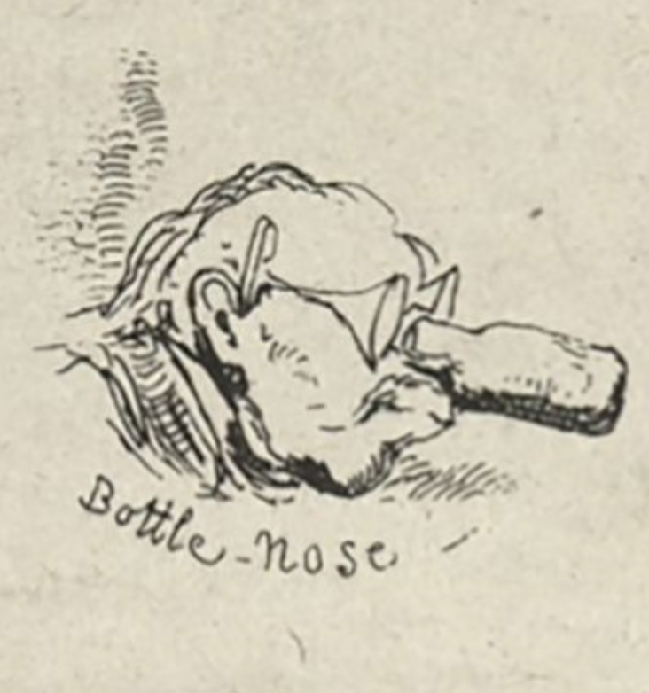 A man with wine glasses for eyes and a bottle for a nose