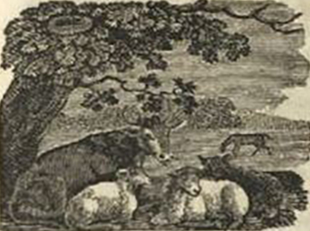 A cow and two sheep rest under the gnarly branches of a tree. A horse grazes in the distance. 