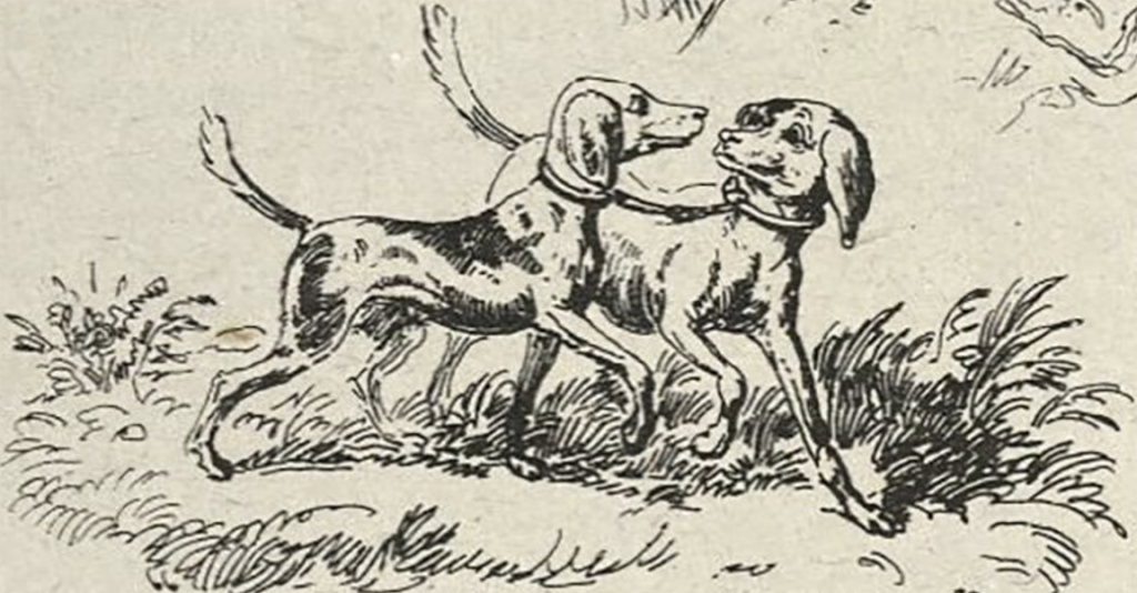 Dogs, which appear to be smiling, prance along in the field, tails up. 