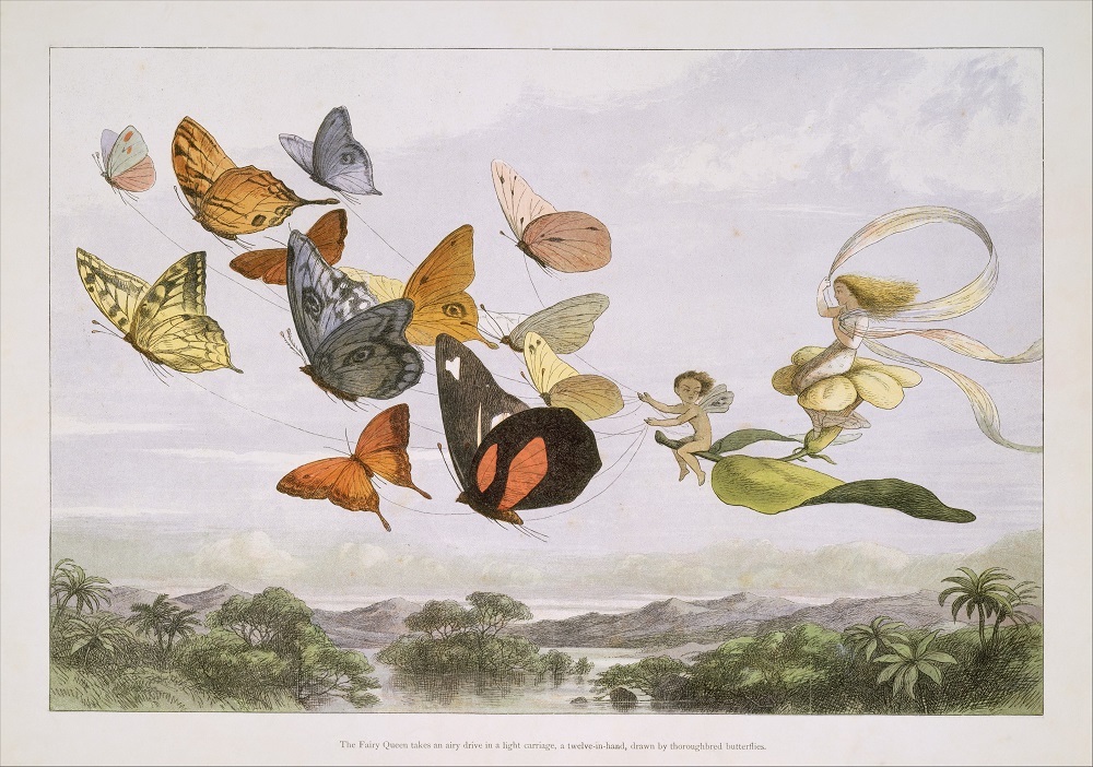 Two small fairies ride on a leaf that is being pulled by butterflies. 