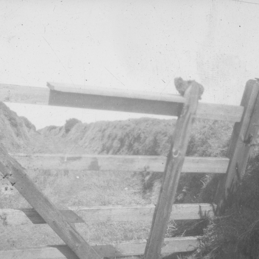 A black and white photograph shows a small creature, what appears to be a mongoose, sitting on top of a fence