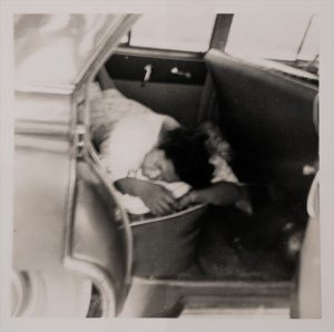 zoomed in image of car with back seat open, woman shown lying down and sleeping on car seat