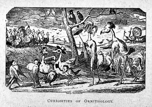 A group of anthropomophized birds wearing hats, glasses and other accessories are gathered around in the center of the page acting very human like.