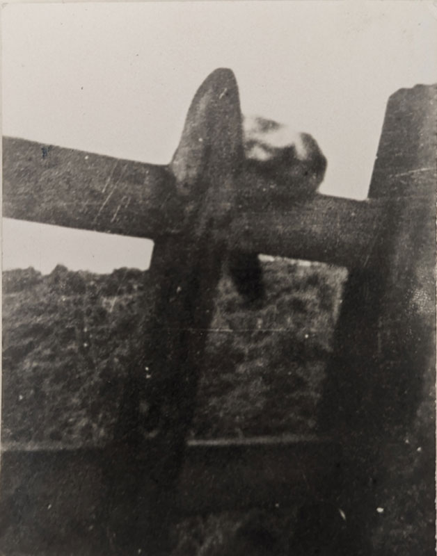 Small animal on fencepost.