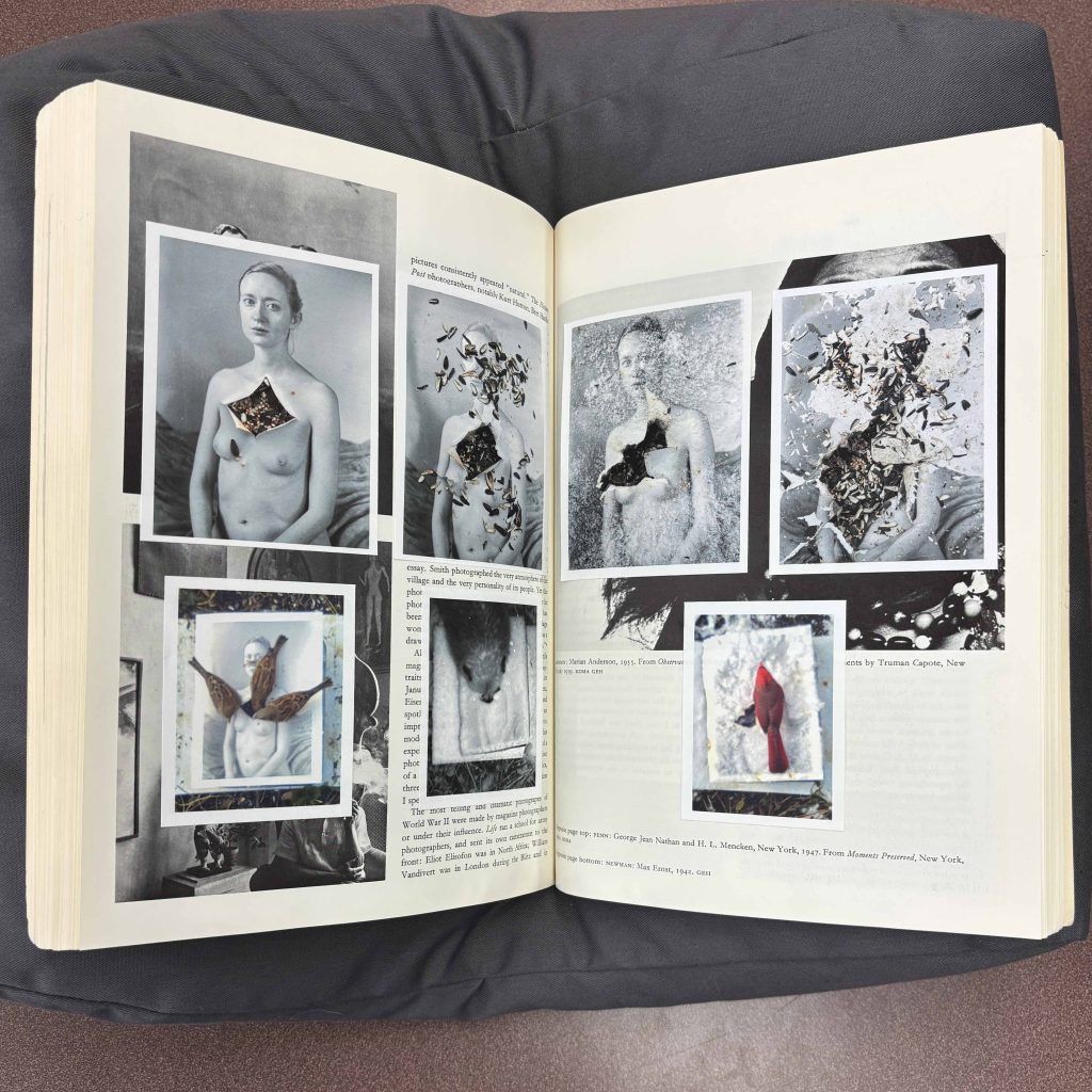 Page spread from Index 2014-2024
